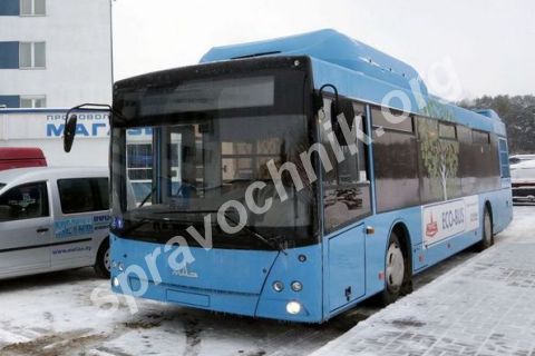 Автобус маз 203965