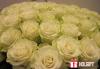 Каждый день в продаже высокая роза с эквадорских плантаций. Ярославль - фото №3