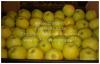 Яблоки, 8 сортов, оптом от 10 кг. Наро-Фоминск - фото №2