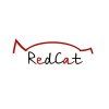 RedCat, Танцевально-цирковая студия