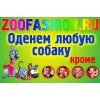 ZooFashion, интернет-магазин