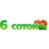6cotok.ru, интернет-магазин