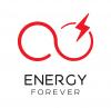 Energy Forever, Центр жизненных сил