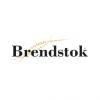 BrendStock.ru, Торговая компания и интернет-магазин