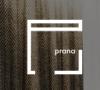 Prana Studio, Студия разработки дизайн интерьера